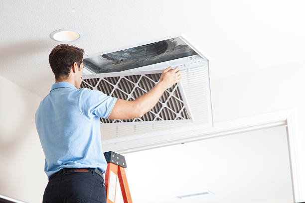 Best HVAC maintenance near me  in Chevy Chase View, MD